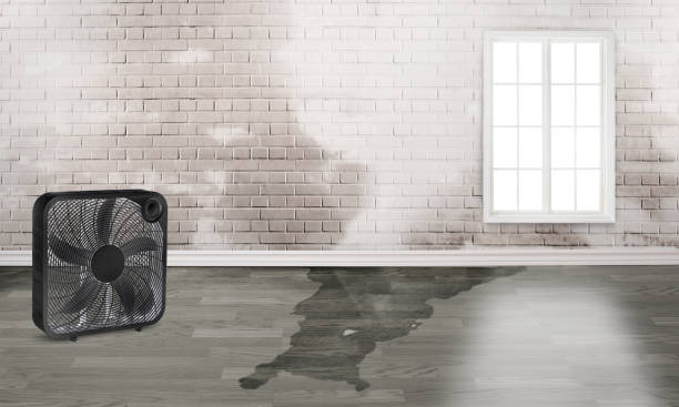 Best Water damage restoration company  in Navassa, NC